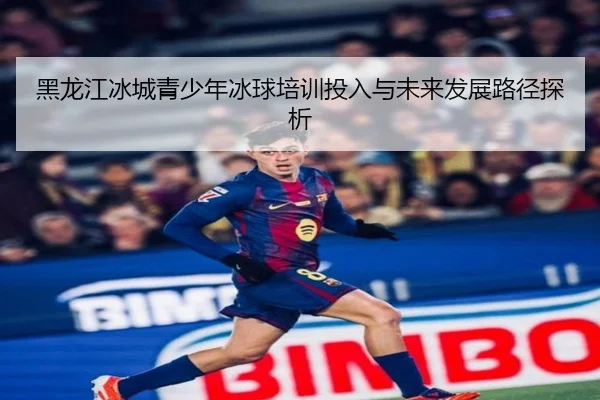 黑龙江冰城青少年冰球培训投入与未来发展路径探析
